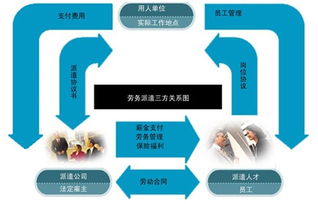 社會保障事務(wù)代理價格 社會保障事務(wù)代理型號規(guī)格